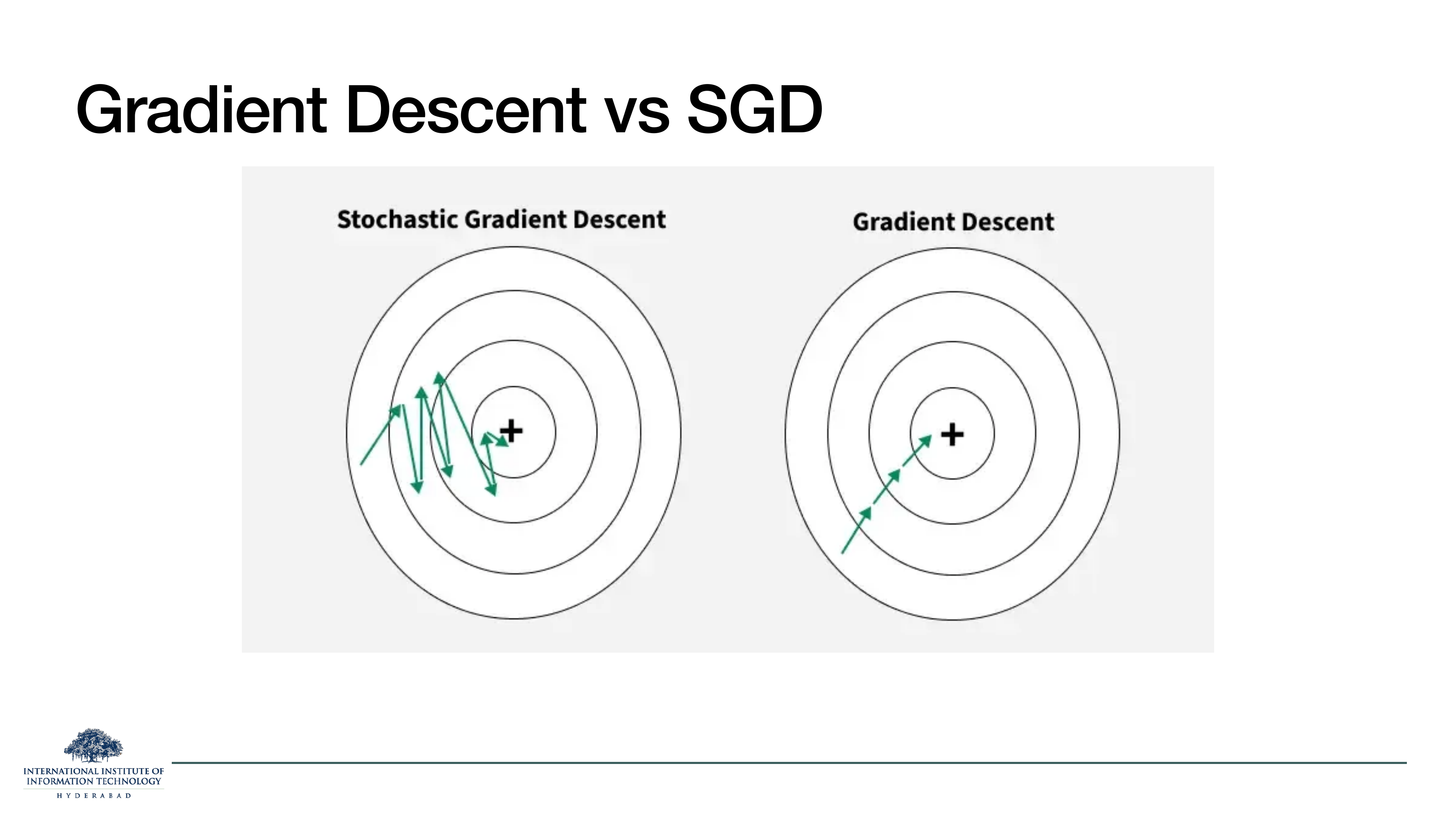 Gradient Descent vs SGD: SGD zigzags noisily towards the minimum, plain GD walks smoothly to it.