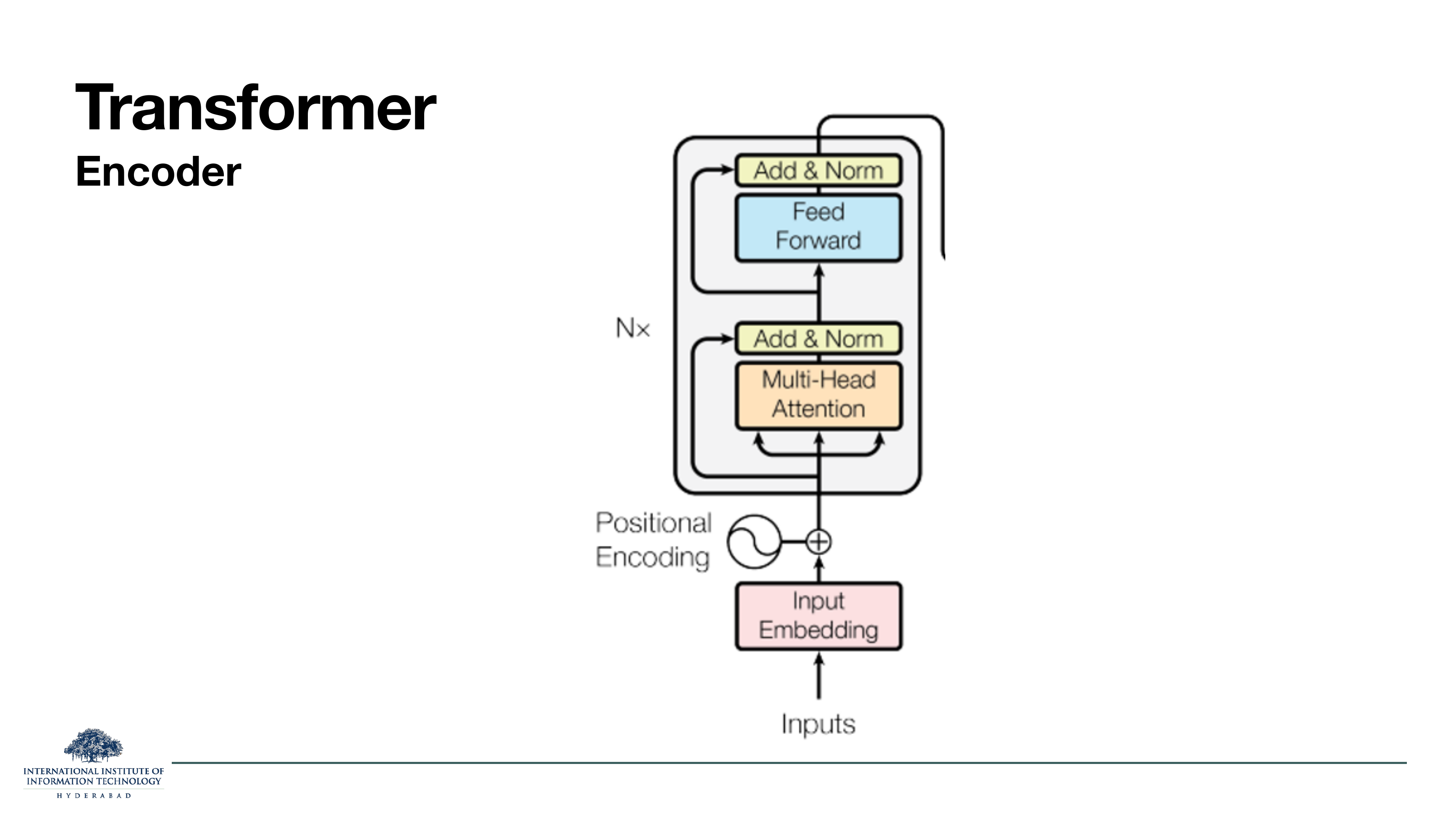 Transformer Encoder block: Input Embedding + Positional Encoding → Multi-Head Attention → Add & Norm → Feed Forward → Add & Norm, repeated Nx.