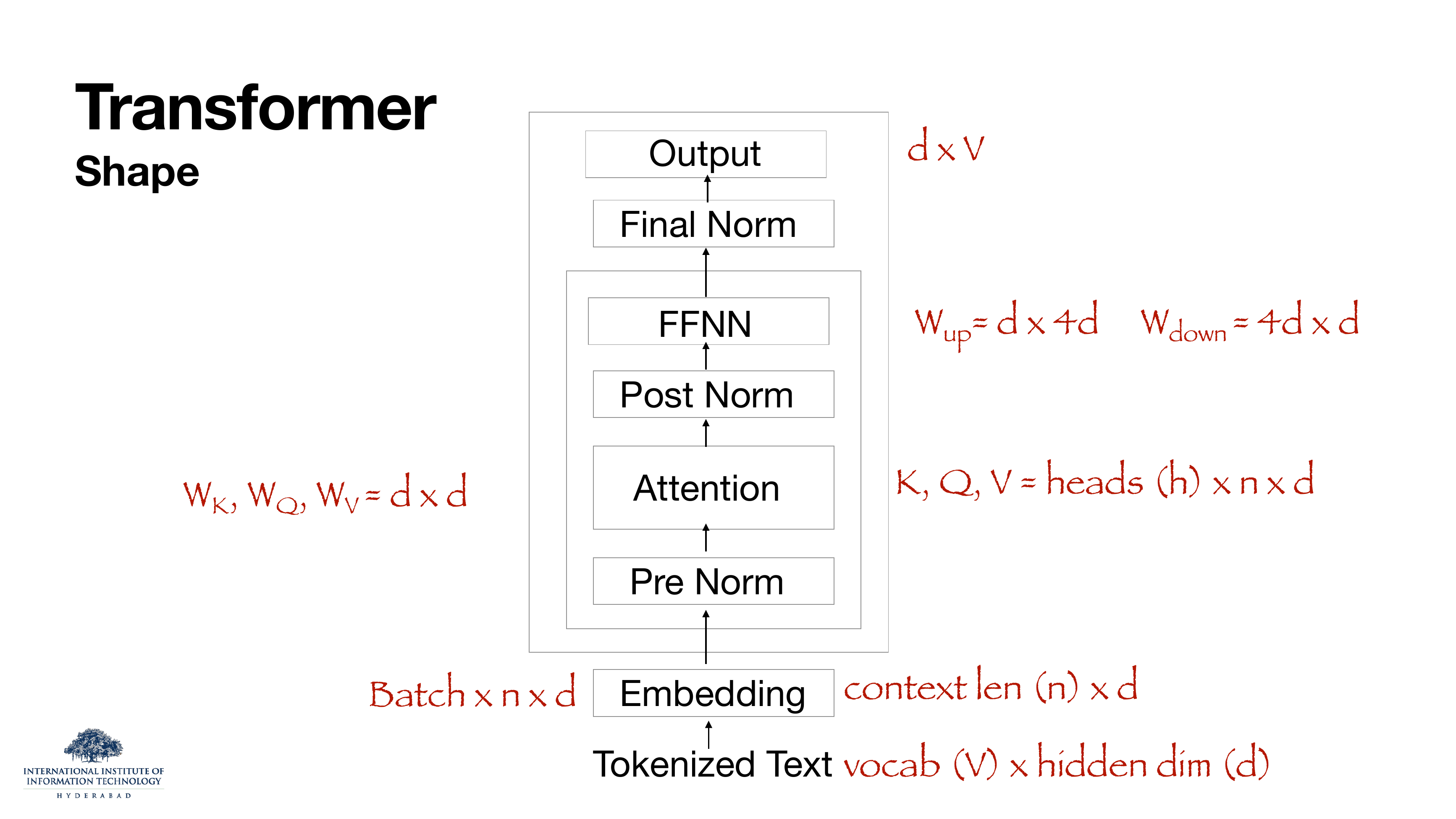 Transformer Shape: block diagram of Embedding → Pre Norm → Attention → Post Norm → FFNN → Final Norm → Output. Shapes: token embedding V×d, Q/K/V heads×n×d, W_up d×4d, W_down 4d×d, output d×V.