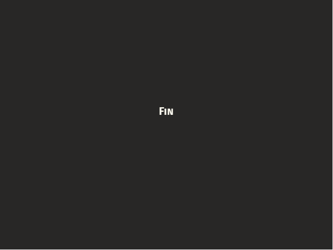 A dark slide with a single serifed word: Fin.